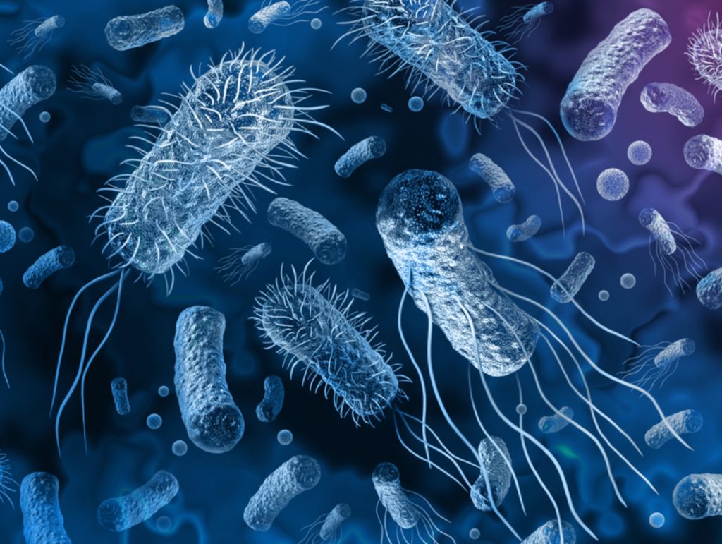 2 Blog BlueDot rapid risk assessment South Africa’s cholera outbreak