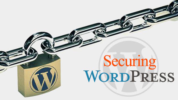 7 Preventive Measures for Eliminating Security Risks in WordPress