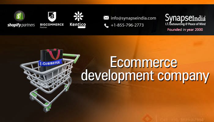 Ecommerce development company with an extraordinary reputation