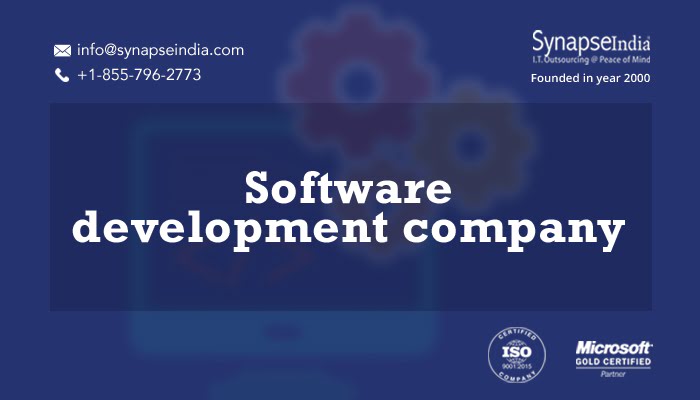 Software development company for custom-built services