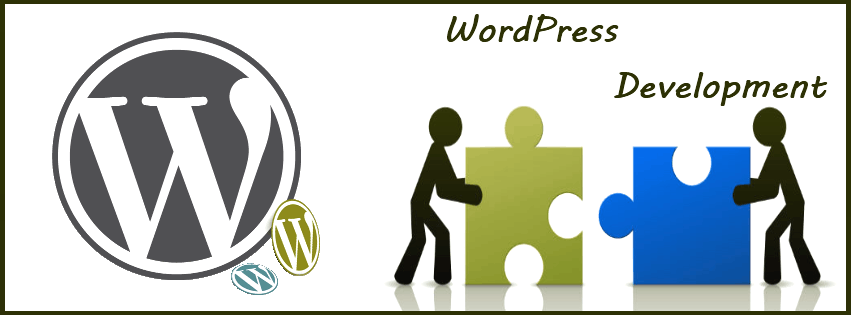 5 Top Myths about WordPress Development | SynapseIndia