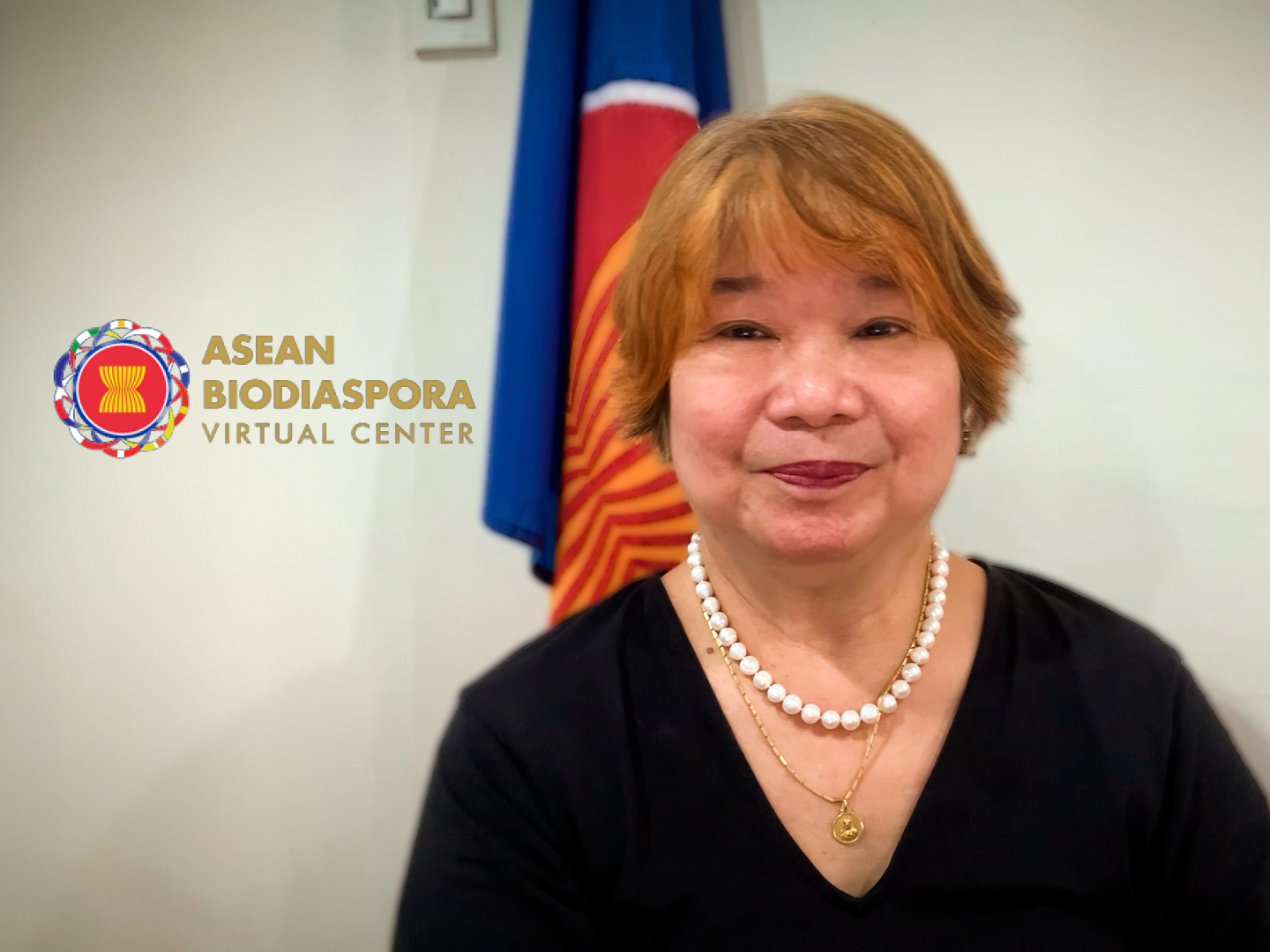 How ASEAN BVC Leverages BlueDot for Disease Intelligence video testimonial